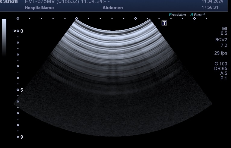 Toshiba PVT-675MV - Imagen 7