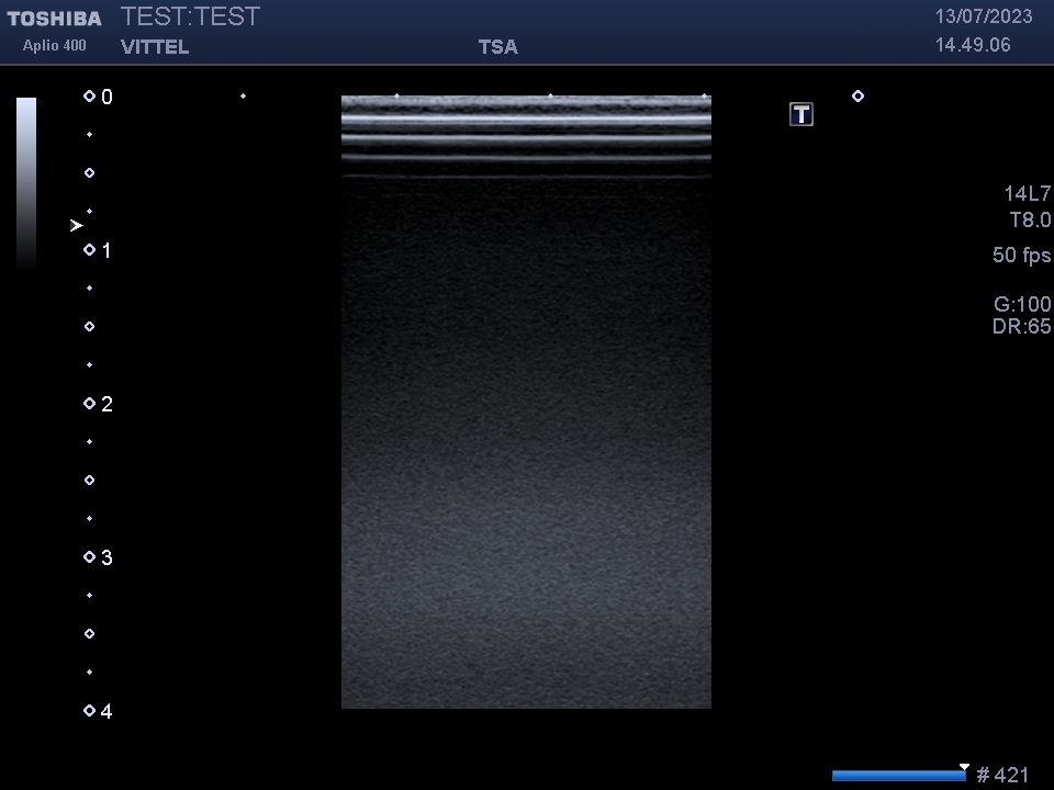 Toshiba PLT-1202S - Imagen 5