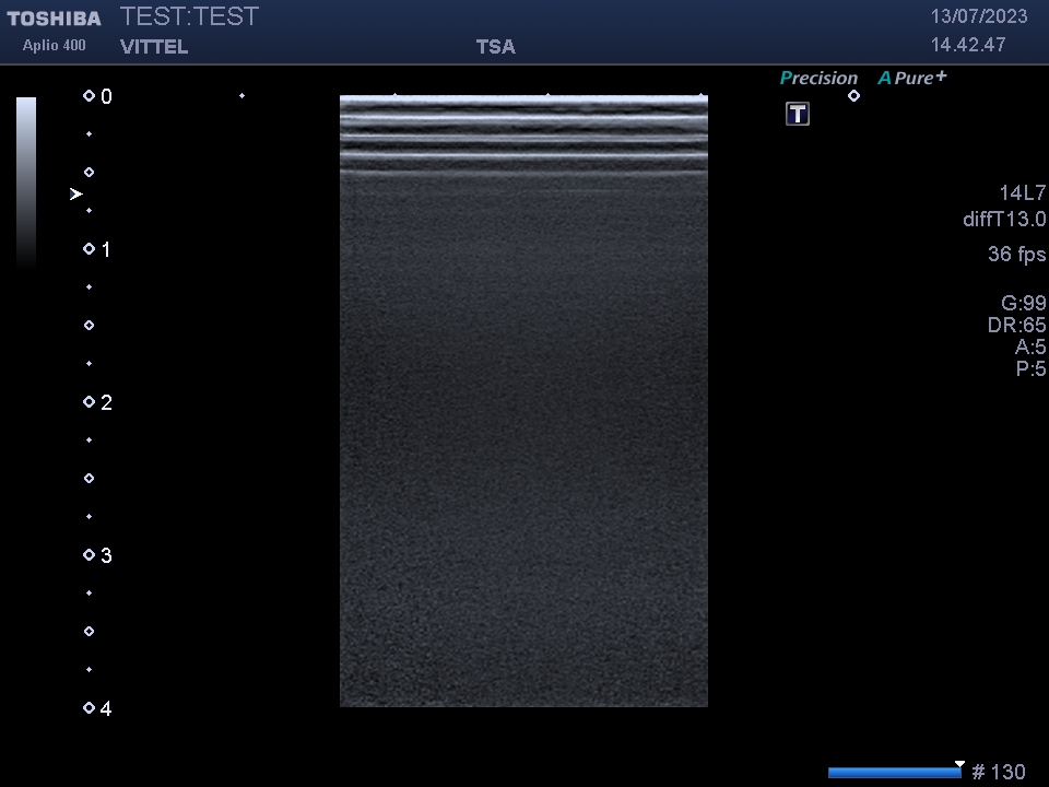 Toshiba PLT-1202S - Imagen 7