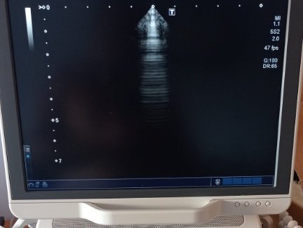 Toshiba PST-30BT - Imagen 2